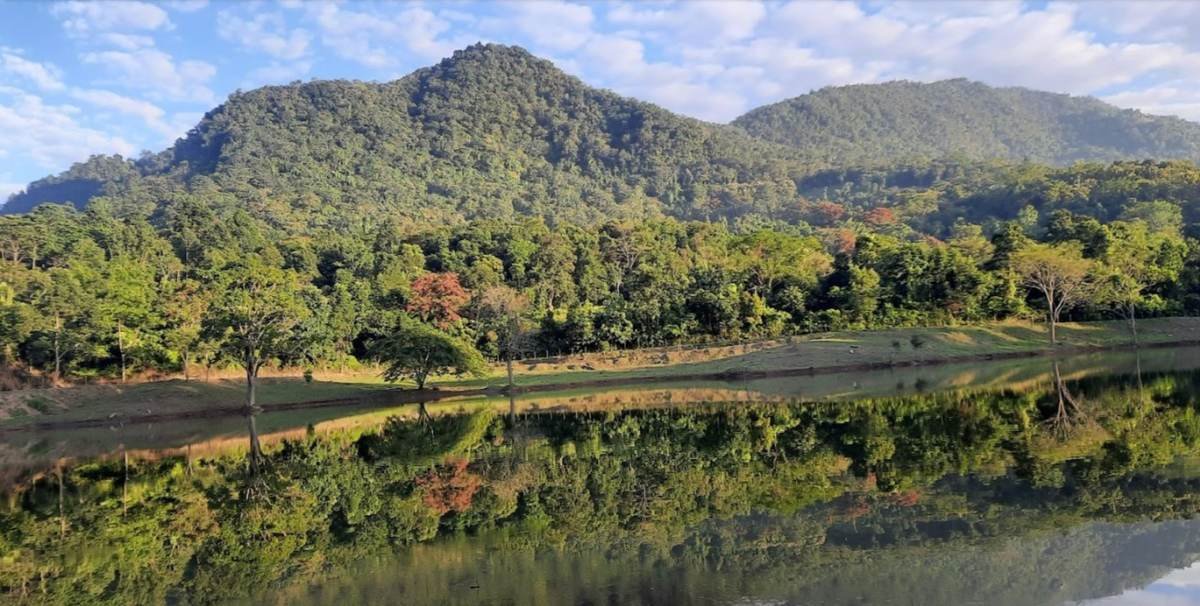 Forested hills reflected in the still water of a community conserved lake