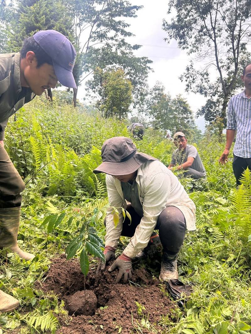 A community member planting a sapling in freshly dug soil