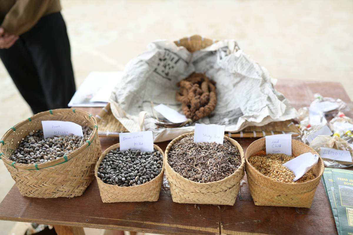 Baskets of indigenous millet, rice, and chilli seeds on display