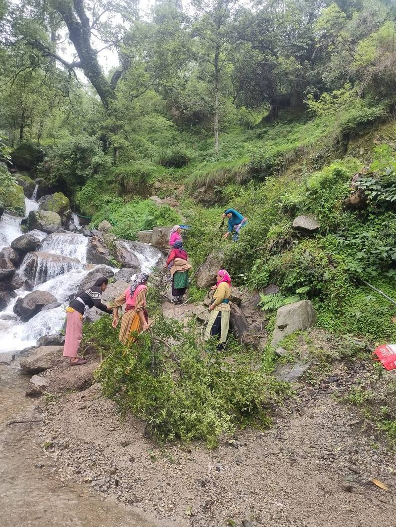 Women clearing and tending a stream-side slope in a community conserved area